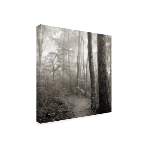 Nicholas Bell Photography 'Woodland Path' Canvas Art,35x35